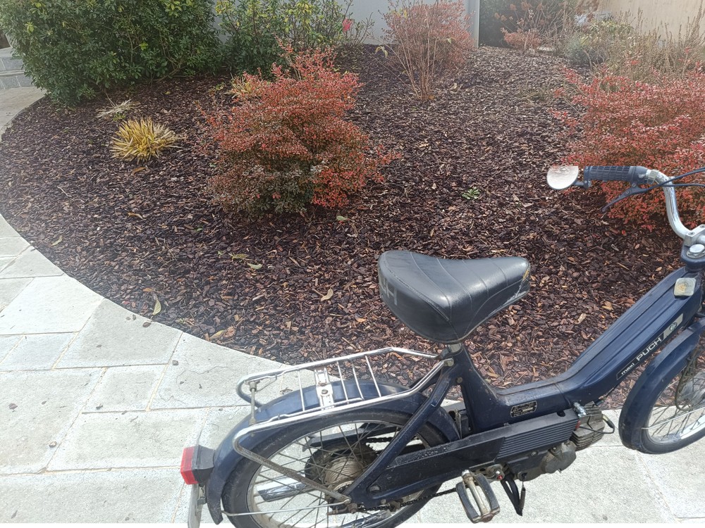 Puch Maxi N, Andy, Promenade à mobylette en Baie du Mont Saint-Michel, en Forêt de Brocéliande et au Pays de la Roche aux Fées